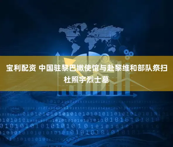 宝利配资 中国驻黎巴嫩使馆与赴黎维和部队祭扫杜照宇烈士墓